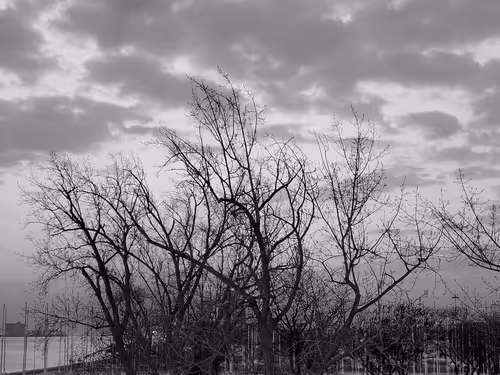 Item #67735063741821568461773819163901199613015394184580788497875190255276368330753 Media