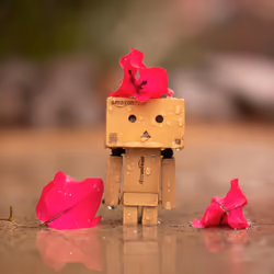 Danbo & flowers.
