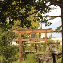Shinto Gate to another Dimension