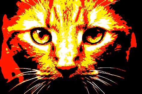 23538819986925566434507765811444276093104658907602947149672917161288509947905