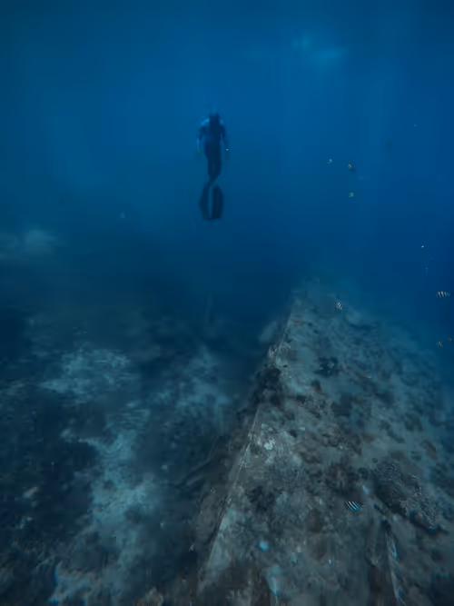 Item #77639041975894886609071233097545712090510044969555444171952761933294399913985 Media