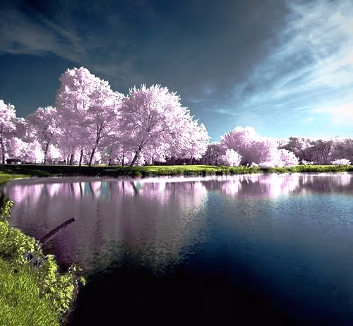 Item #112923943428269363702706465808844570616337305461167007030483363171787738185729 Media