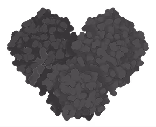 Item #96505329450513800617306197317128474049008904938211673216503687714322214027284 Media