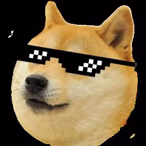 zatu doge