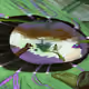 32855488266210862983577130003331584147788353286960817656461490402452964376577