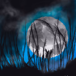 Moonlight