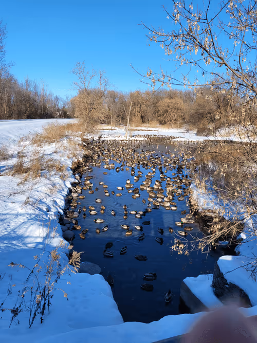 Item #30464793609000757666183909644065045905429673138757624924142168919030705946634 Media