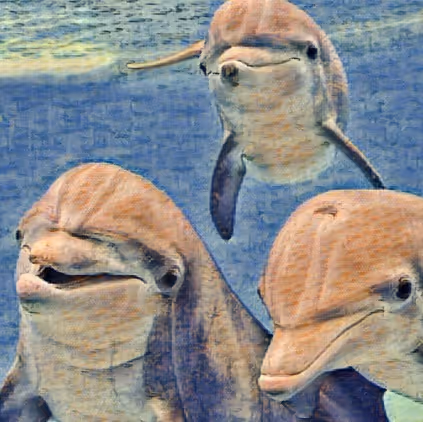 Item #39800324863389322776906793447436645107867592537882393143685198619001751601153 Media