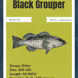 43502264269384842523243150070095810631836830099831581701628992126383781052417