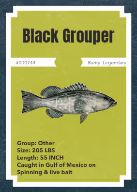 Item #43502264269384842523243150070095810631836830099831581701628992126383781052417 Media