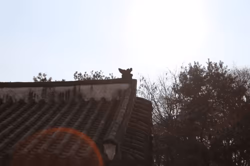 Item #88883349371163491607533237440798629699912672316183715139134230419588029349898 Media