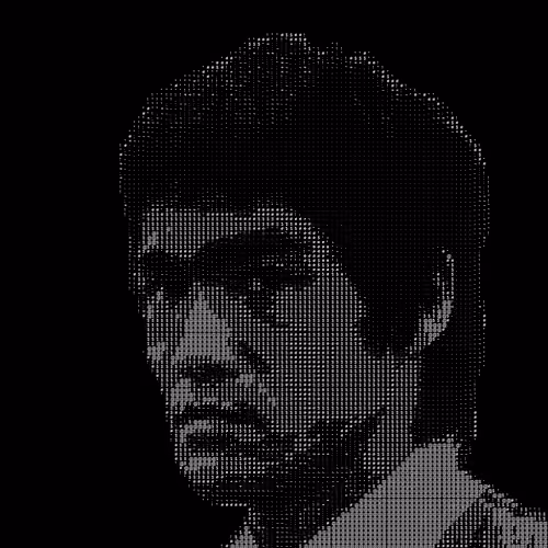 12 Symbols - Bruce Lee