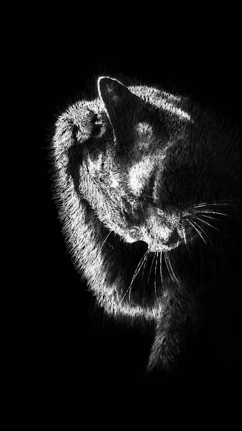 Item #20286817641922993541065929101952433978531825078991625494647867587700310671361 Media