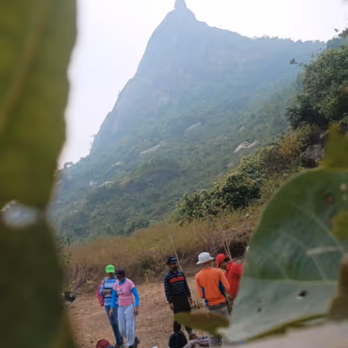 Untitled Collection #243544737