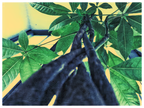 3787080761074609709675817509753112159059746763483256848434353547900803350529