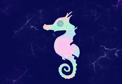 seahorse  mandara