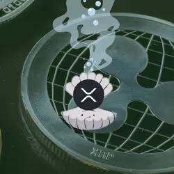 33586727116983499547203017733785993163629314656120018214782717862571180818433