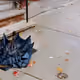 36434122687252055990918251141703978747461771072531575643291624951863849254913