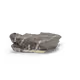 65879569358563562559916920101614408719624965791500846447408740223047373422593