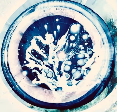 Item #100215834348252495882822669410041435854807957610066919475091088283362637381633 Media