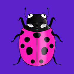 28398129241124612837955504244218552598312943853482854017546028193058920595486