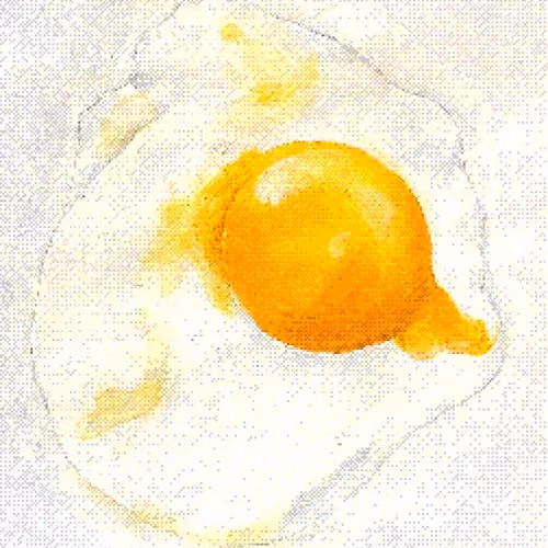 Fried Egg