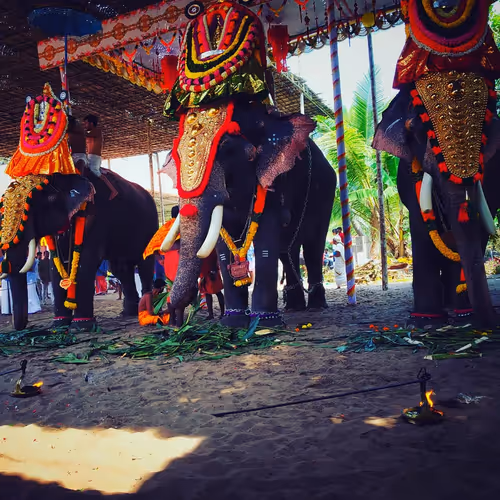 Item #96373460507912281939903112807065392587728079623754575039603803279453178560513 Media