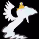 89588547770300523380173890657265571772546304781421505793612111134253769555969