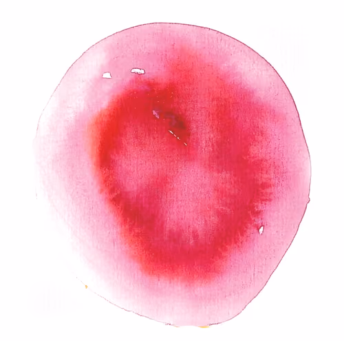 Color Fruit 002