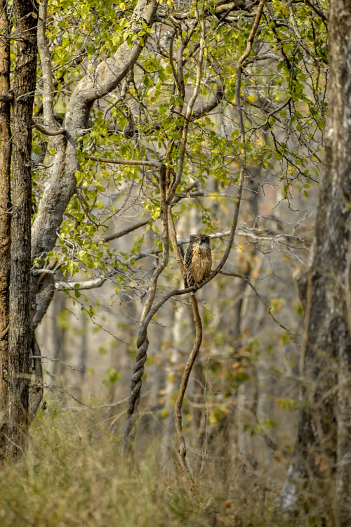 Item #61684684013370051227163866082320023750896296023852719411798081177599474663574 Media