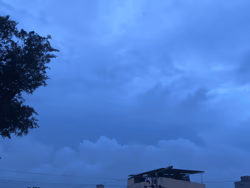 Item #19919995588031661966256808204406643519589095642617423752002715016191318949889 Media