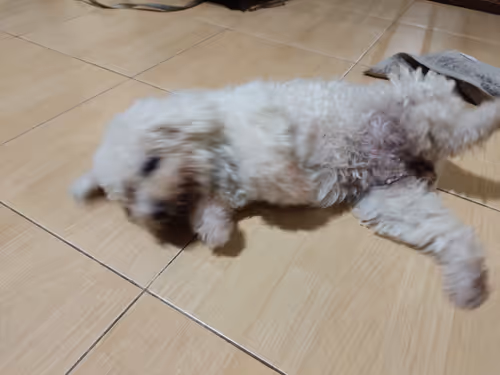 Item #98569267391680506919457616700134490071380342696939222931435909394176099221514 Media