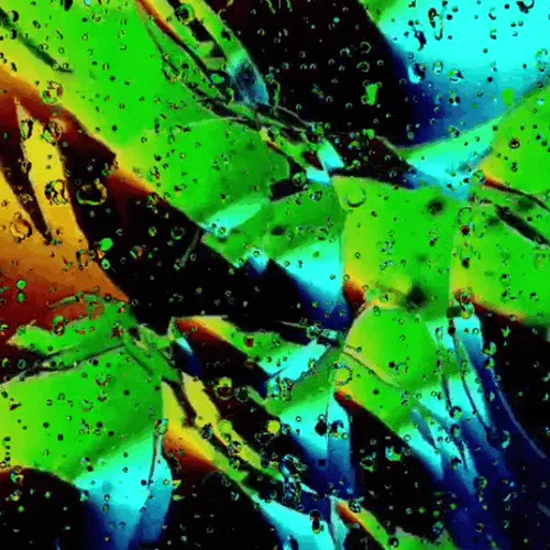 Item #102017662668176822575405277767485904617561700143347670830040801755265276837889 Media