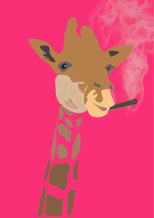 Item #46679994496108624530020148644785155104419172278486625888968680884957117153281 Media