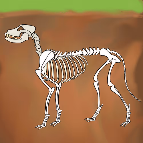 Item #66115251428437251400949335005857765940906863007353817121707627014347103928321 Media