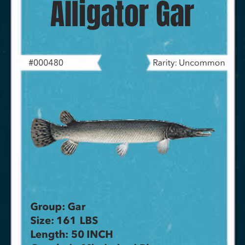 43502264269384842523243150070095810631836830099831581701628992098895990358017