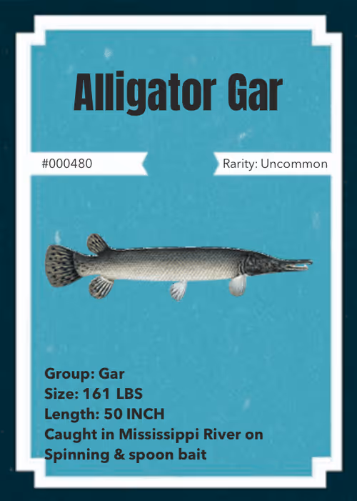 Item #43502264269384842523243150070095810631836830099831581701628992098895990358017 Media