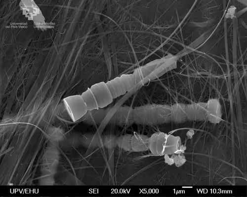 Item #23217486054753313313832658435722255441588252076400940924868810807723887165441 Media