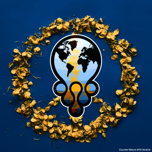 Item #64536456341285675859788069130660088481171403000174399081275630860971819401217 Media