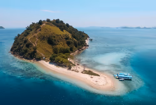 Item #77639041975894886609071233097545712090510044969555444171952761926697330147329 Media