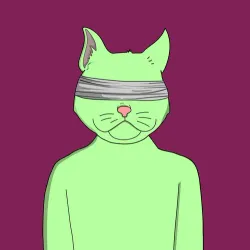cat #4