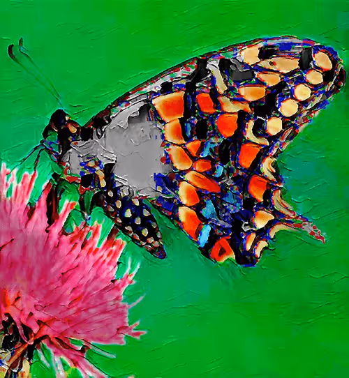 Item #94187362096385522384510381258680220469362668956655567183697808430522603405313 Media