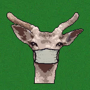 Item #41634390883313301849830266482664646359409335477512947785759714591441311236098 Media