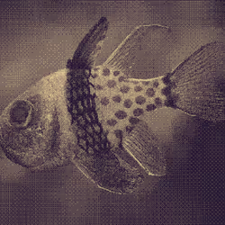 11276162529628641556553056529614973332754405277106184420845744966347568185345