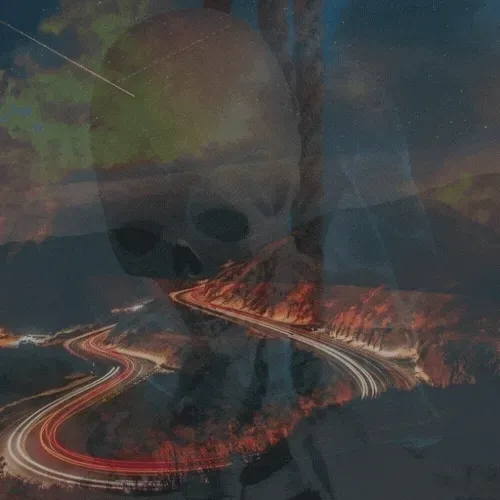 Item #38389305083498971239694236246529461566372963586930572058997571711092310147073 Media