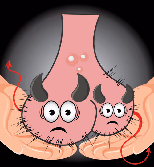 Item #22793047471806318065020766672709763262679883798276267629942525248934573511560 Media