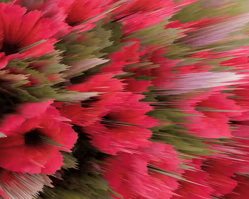 Item #56373436807319567570277133496583140716078288653308511273073736232445277110302 Media