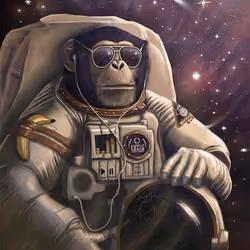 moon monkey 