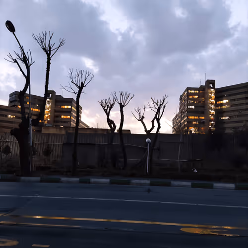 Item #111639922181118990896691516583444278779748386345313707156968420406361950529296 Media