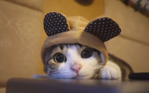 Untitled Collection #46841803